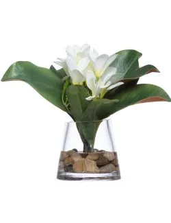 Plumeria Bloom Stateroom Bouquet Yacht Silks Arrangement